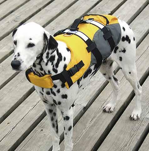COMPASS Compass Hunde-Schwimmweste