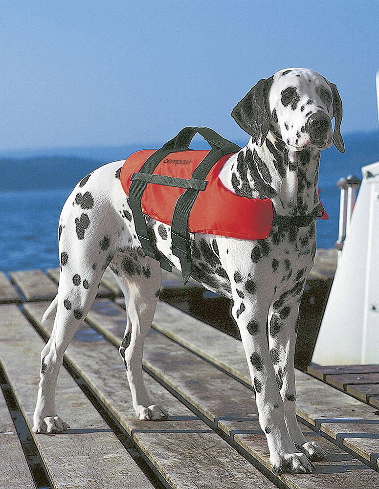COMPASS Compass Hunde-Schwimmweste