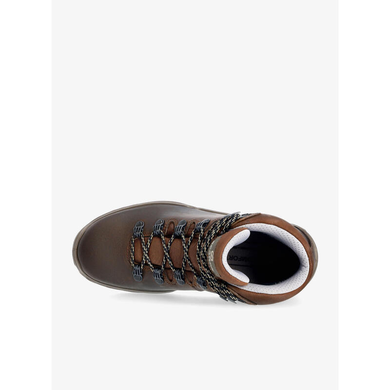 Buty trekkingowe damskie Terra Gtx Women brązowe