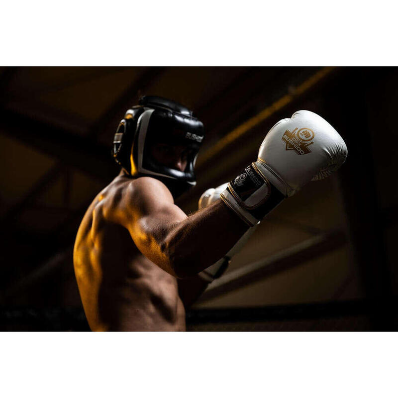 Boxerské rukavice DBX BUSHIDO DBD-B-2