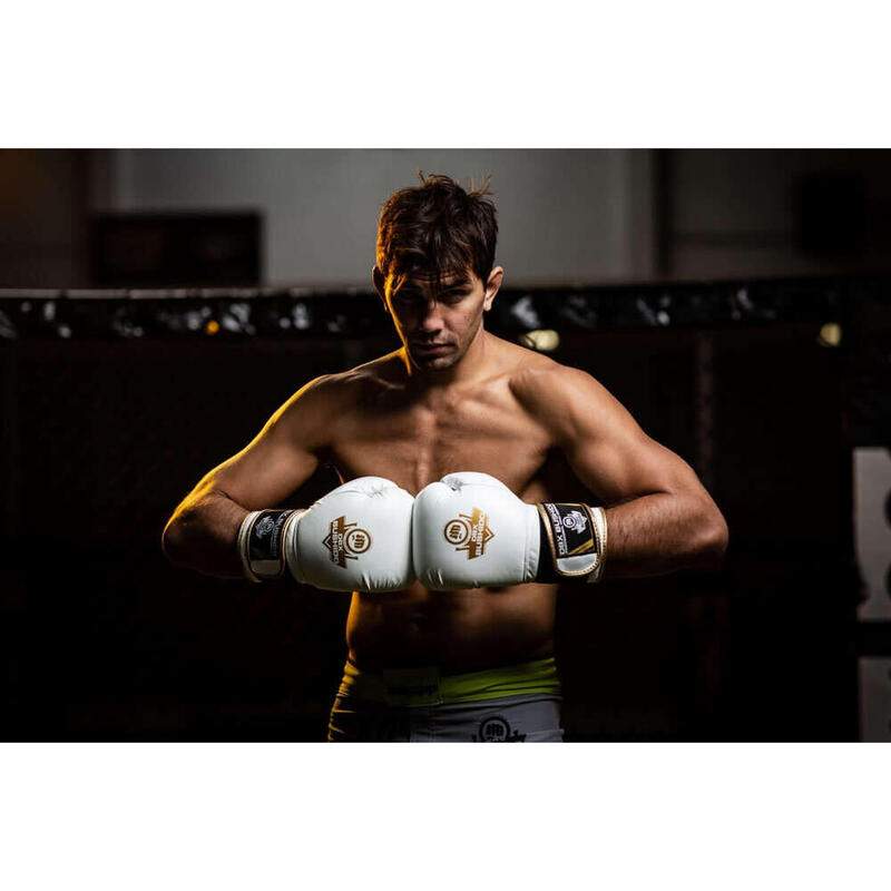 Boxerské rukavice DBX BUSHIDO DBD-B-2