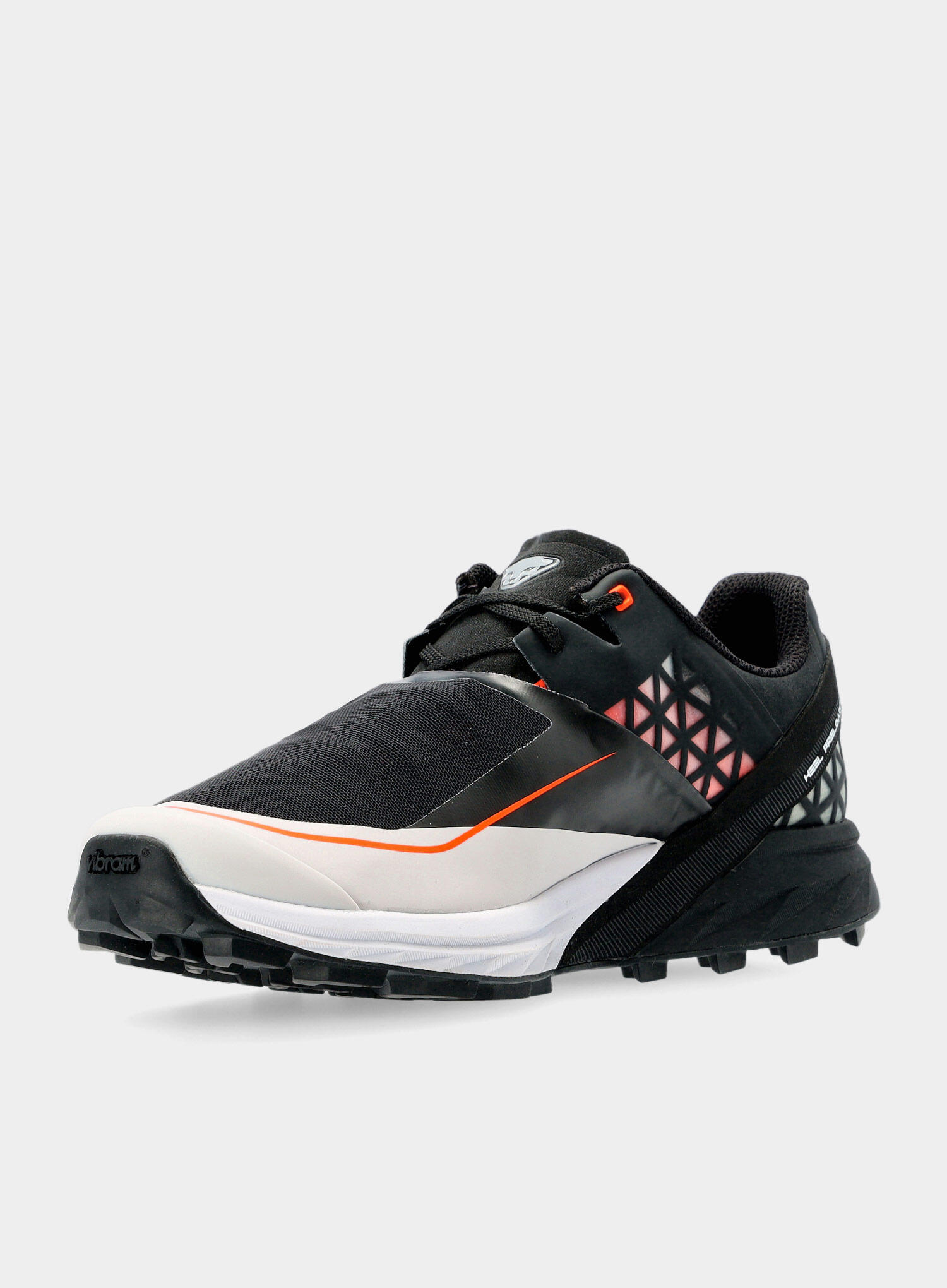 Buty trailowe męskie Dynafit Alpine DNA 6/7
