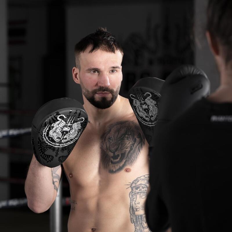 Muay Thai Focus Mitts