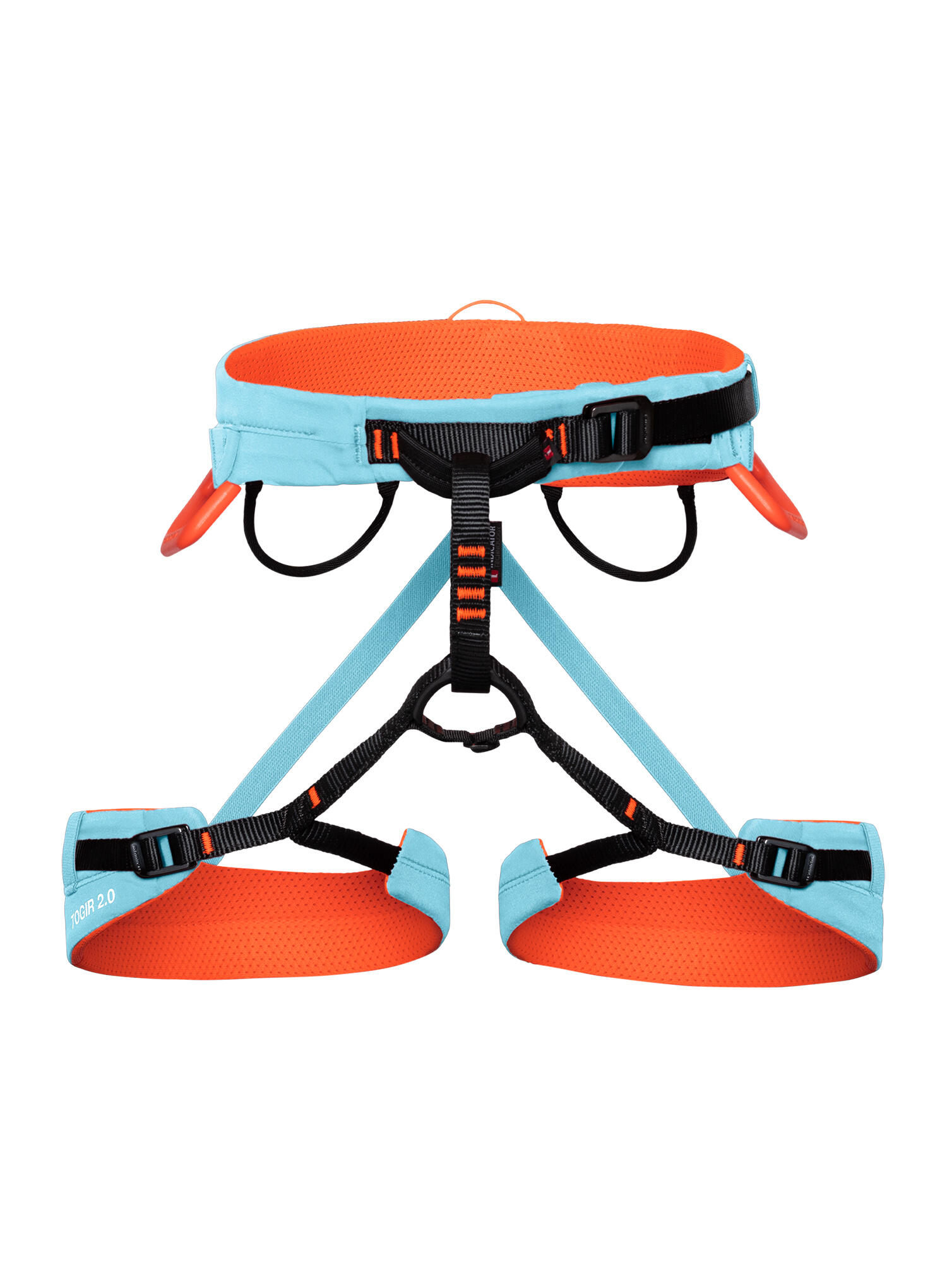 MAMMUT picture