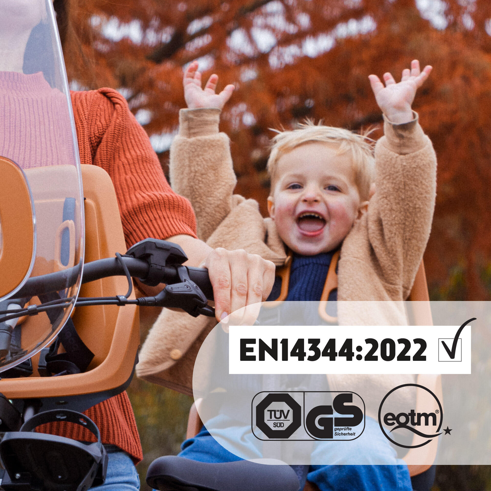 Seggiolino Posteriore Bambini Bicicletta Portapacchi ONE E-BD Marrone Cioccolato 6/9