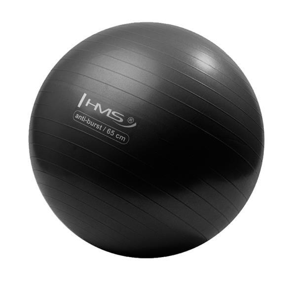 Gymnastický míč HMS YB02N 55 cm 5/7
