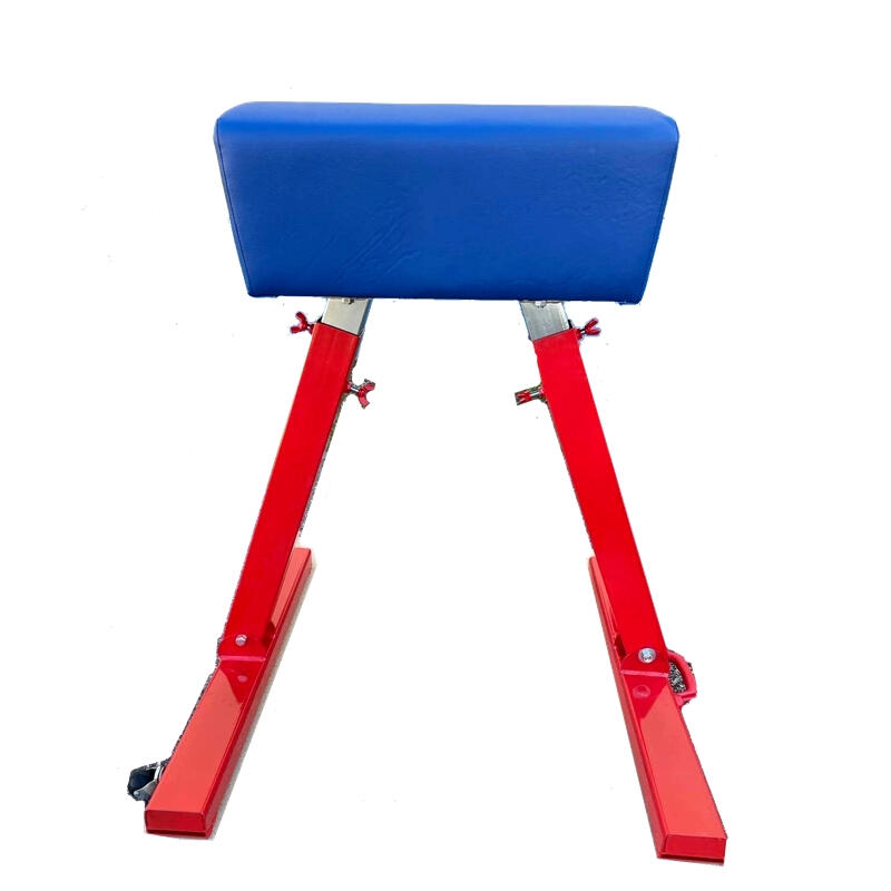 Capra gimnastica Anastasia Sport