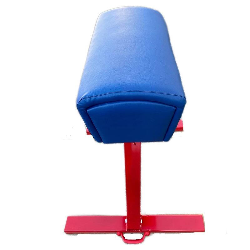 Capra gimnastica Anastasia Sport