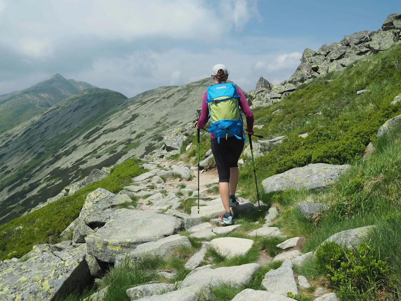 Kije trekkingowe Pinguin LIGHT TL FOAM trzyczęściowe 3/6