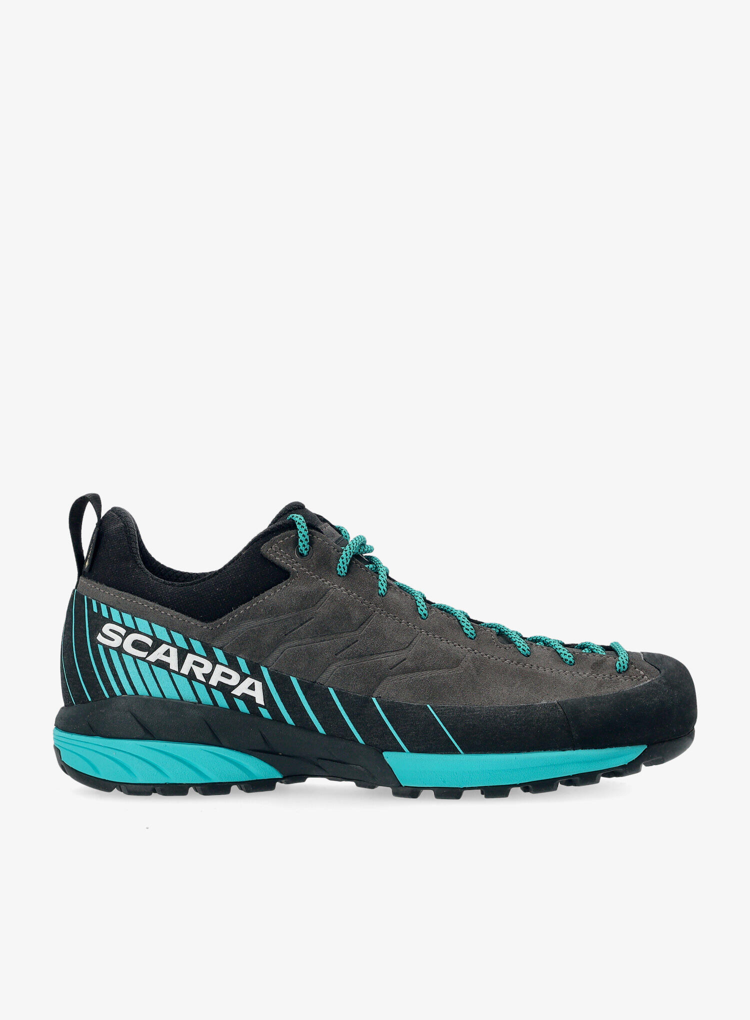 SCARPA picture