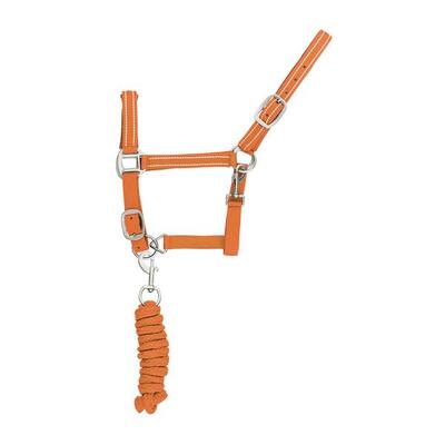 Cavezza in nylon con lunghina