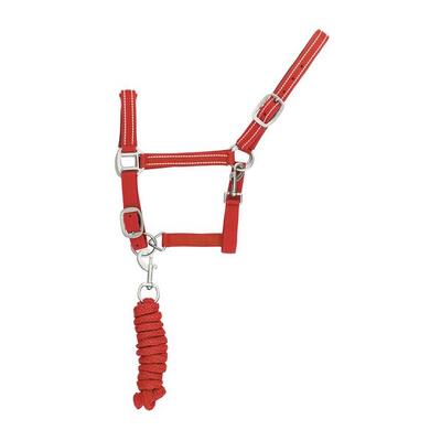 Cavezza in nylon con lunghina