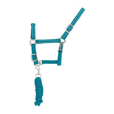 Cavezza in nylon con lunghina