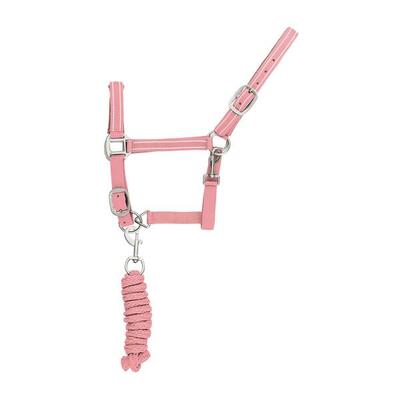 Cavezza in nylon con lunghina