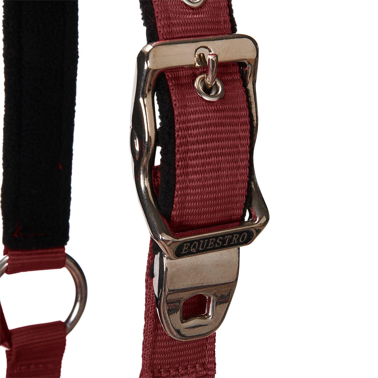 Licol pour cheval avec longueur Equestro Modello Shiny Fittings 3/7