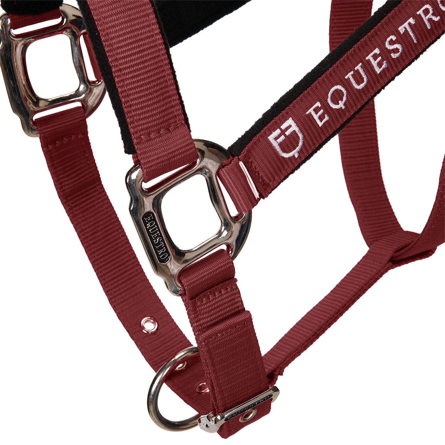 Licol pour cheval avec longueur Equestro Modello Shiny Fittings 7/7