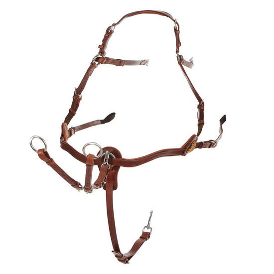Collier de chasse pour cheval à 5 points Acavallo