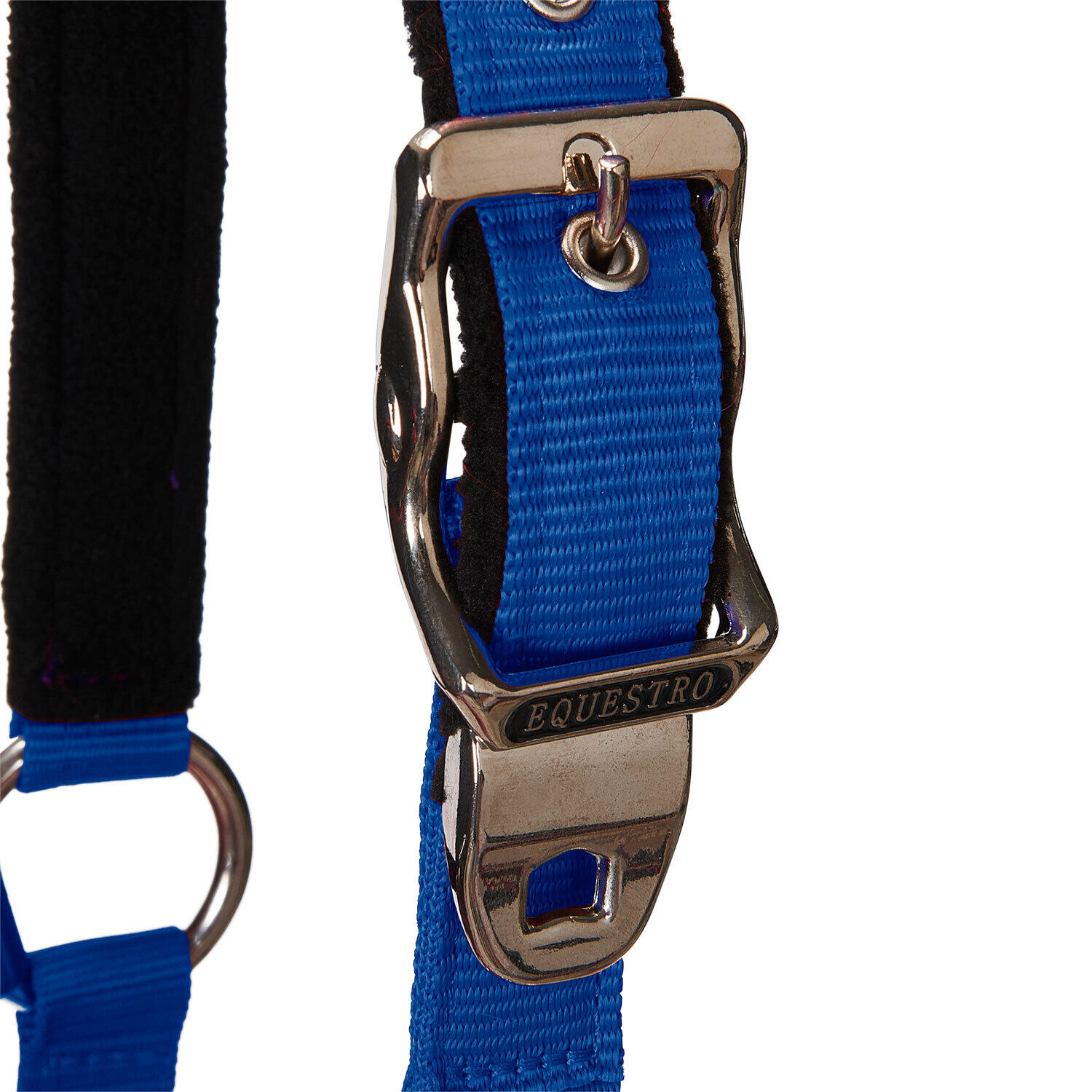 Halster voor paarden Equestro Shiny Fittings 3/7