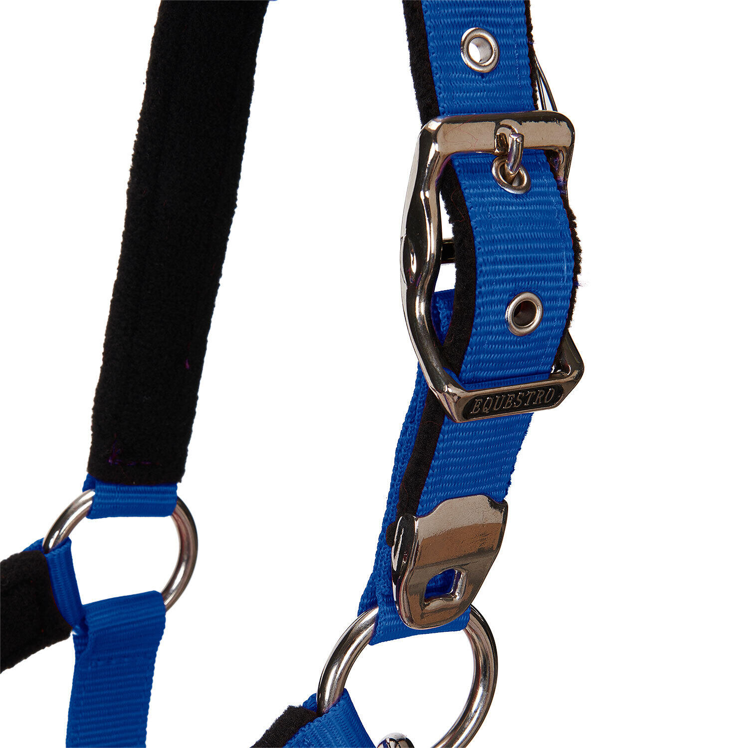Halster voor paarden Equestro Shiny Fittings 5/7