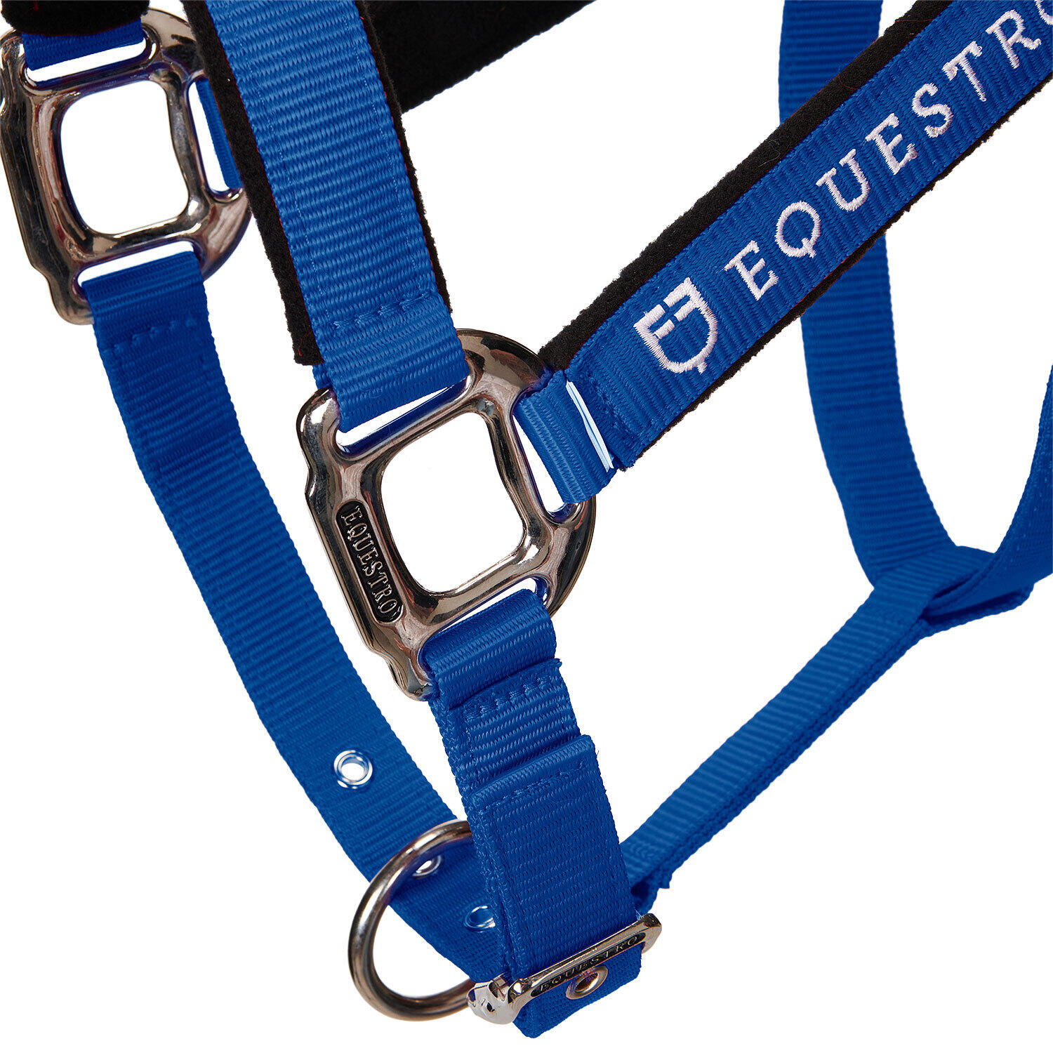Halster voor paarden Equestro Shiny Fittings 7/7