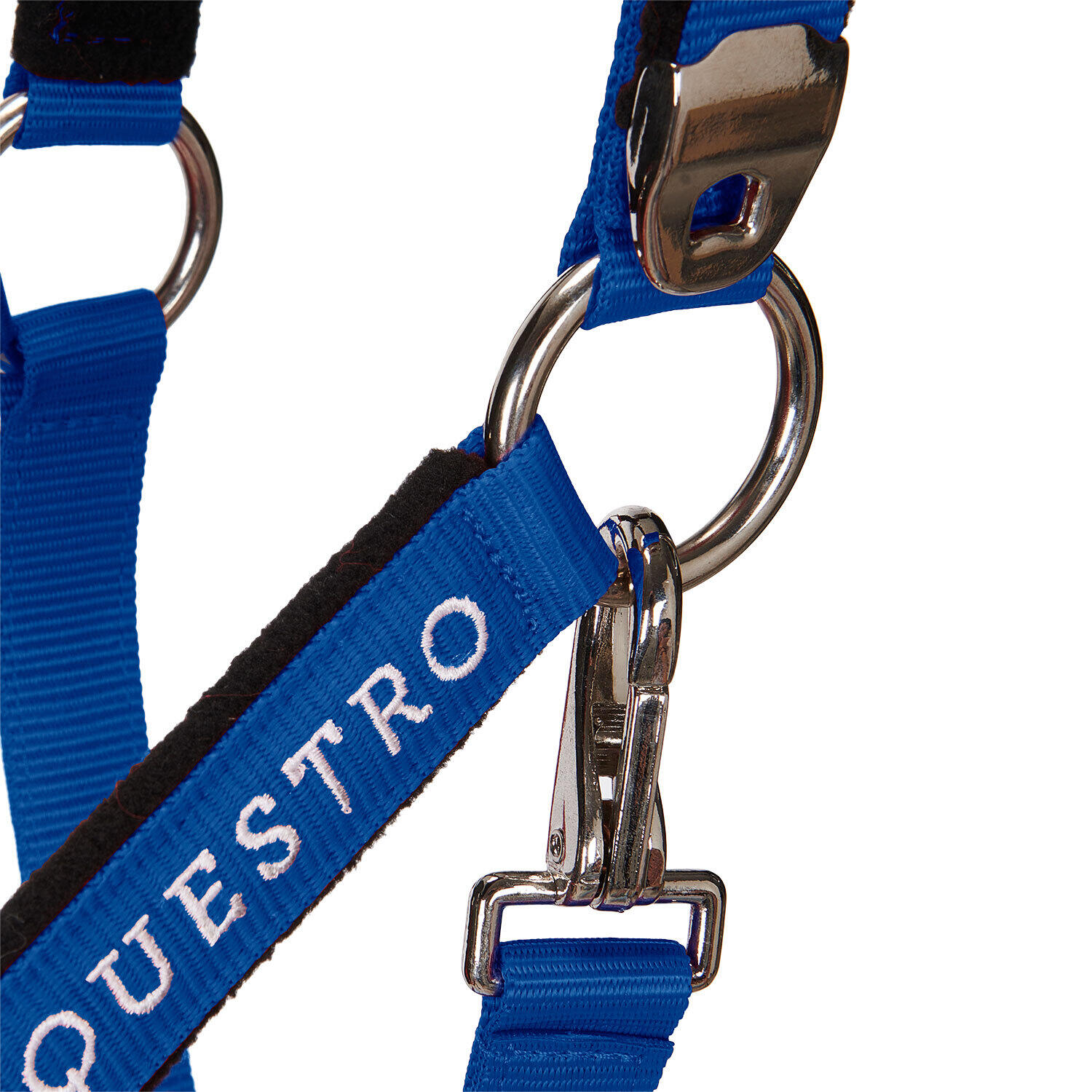 Halster voor paarden Equestro Shiny Fittings 6/7
