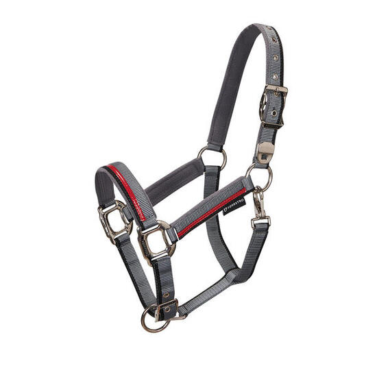 Ensemble licol en nylon et longe pour cheval en nylon Equestro