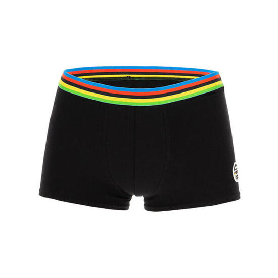 Boxer - UCI RAINBOW
