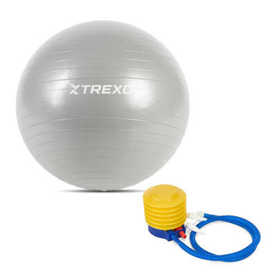 TREXO TXO-B4Z007-GY Gymnastikball