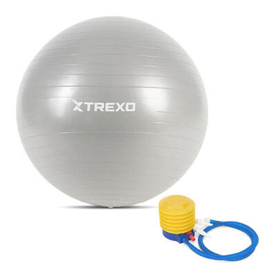 TREXO TXO-B4Z008-GY Gymnastikball