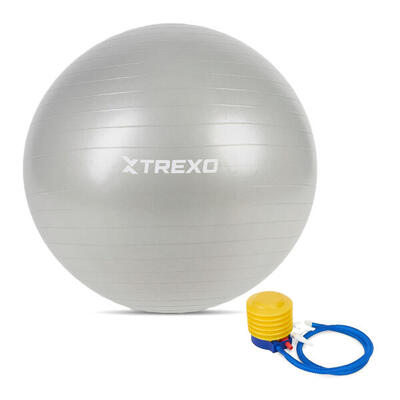 TREXO TXO-B4Z009-GY Gymnastikball
