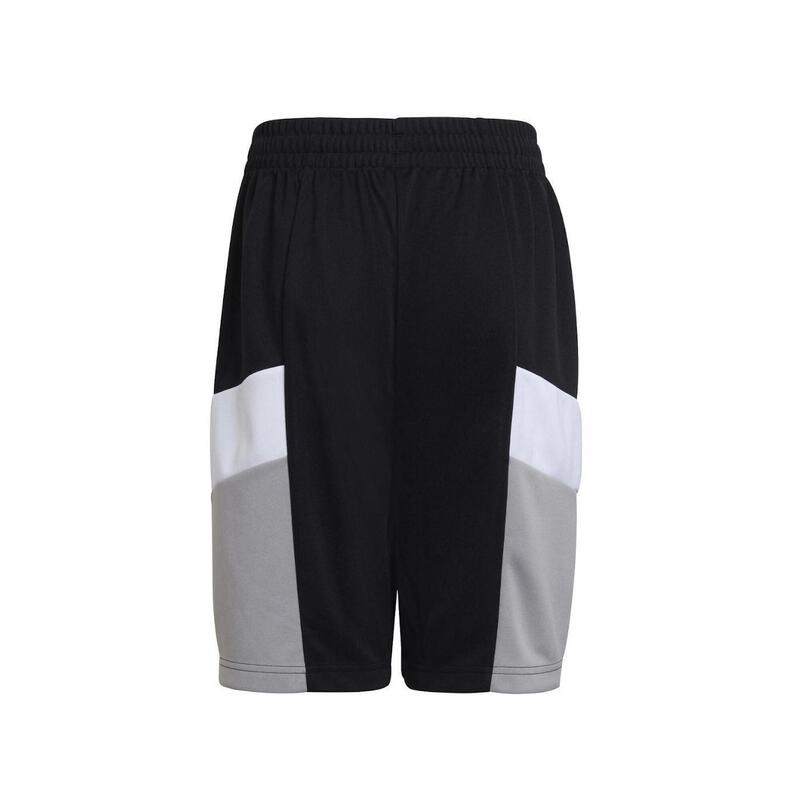 Short garçon adidas d2m big logo