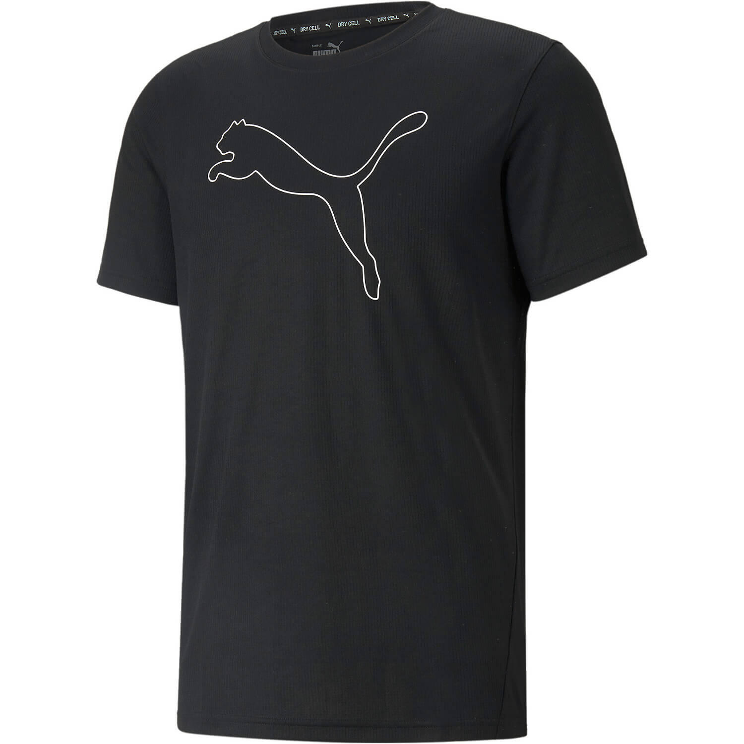 PUMA picture