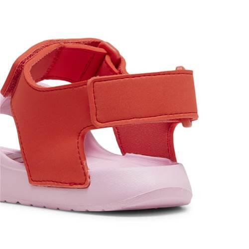 Sandálias Criança PUMA Divecat v2 Injex PS 5/5