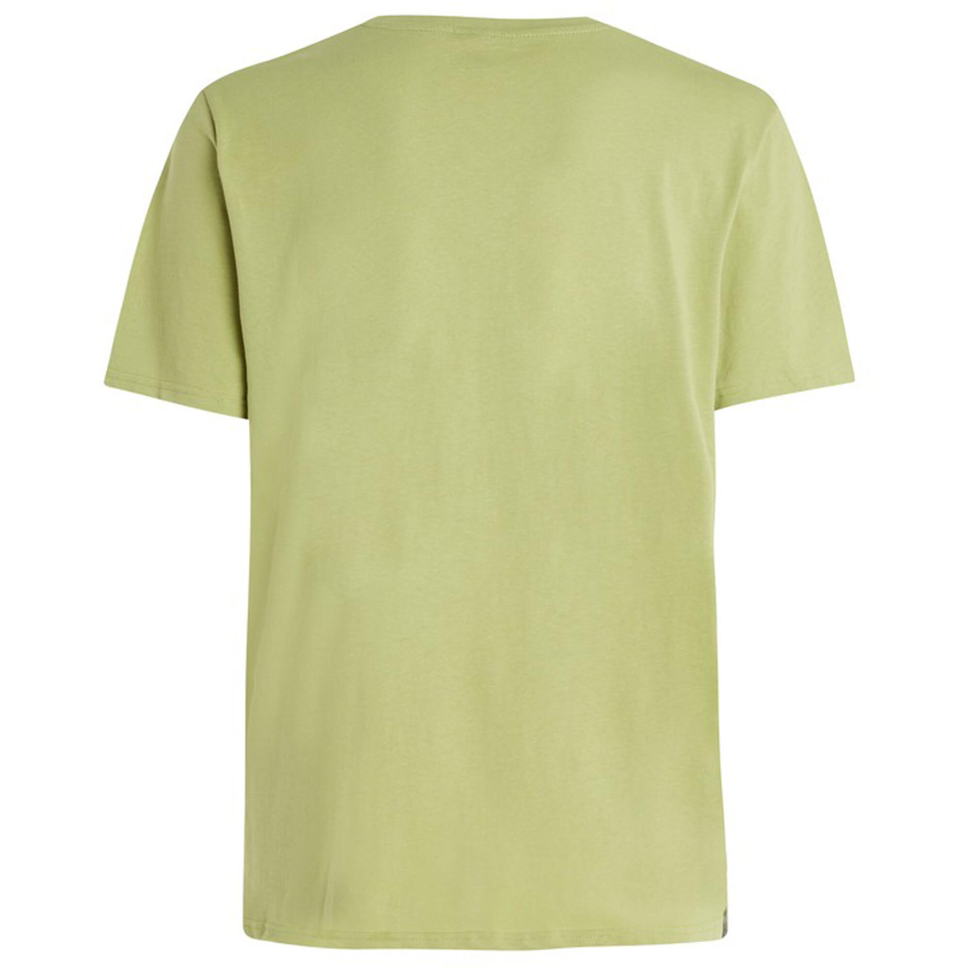 Koszulka męska Protest PRTAHAIRD t-shirt
