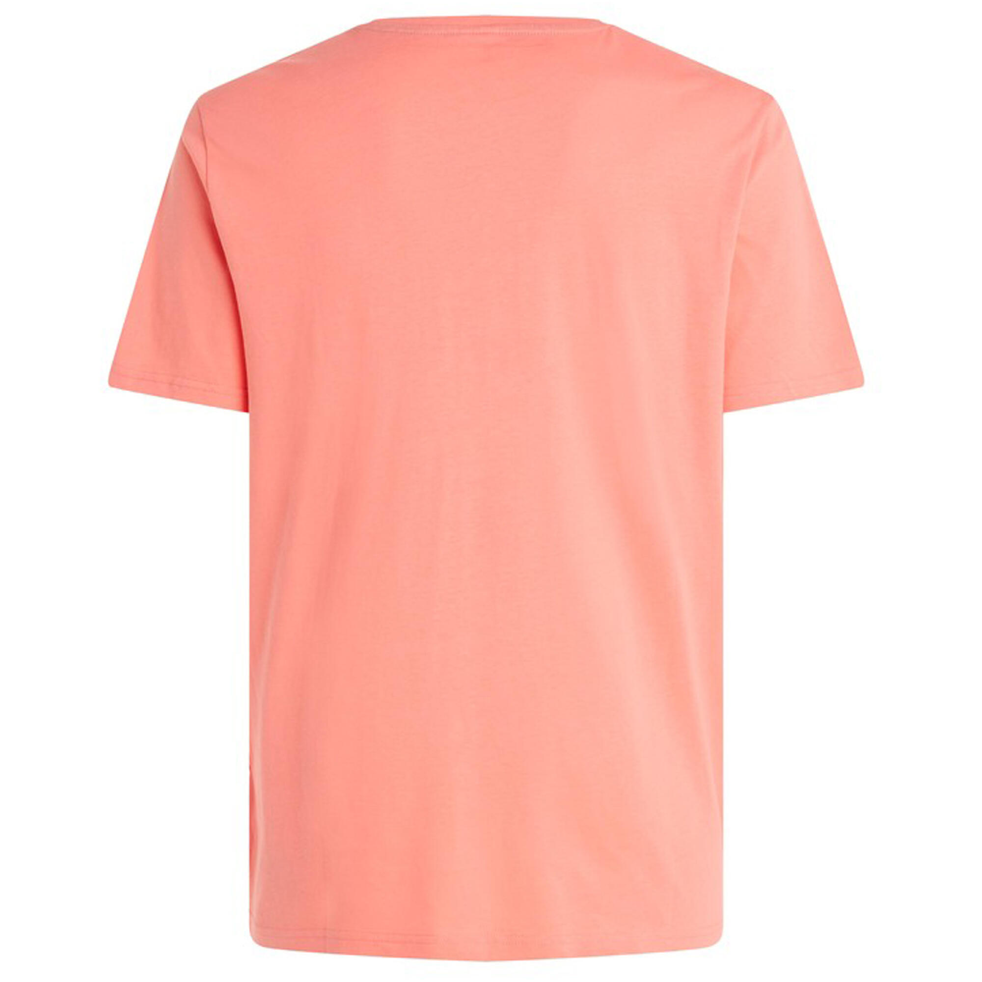 Koszulka męska Protest PRTSHARM t-shirt 6/7