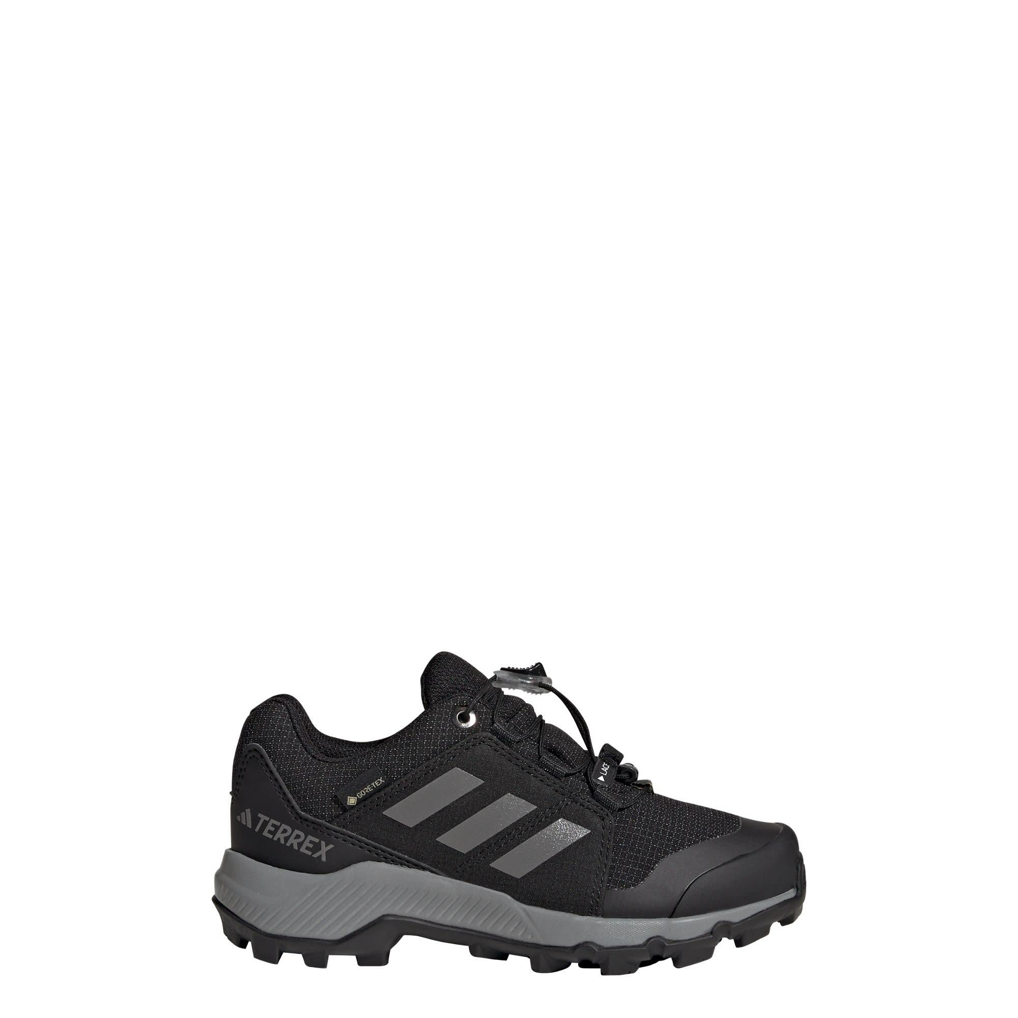 ADIDAS Terrex GORE-TEX Hiking Shoes
