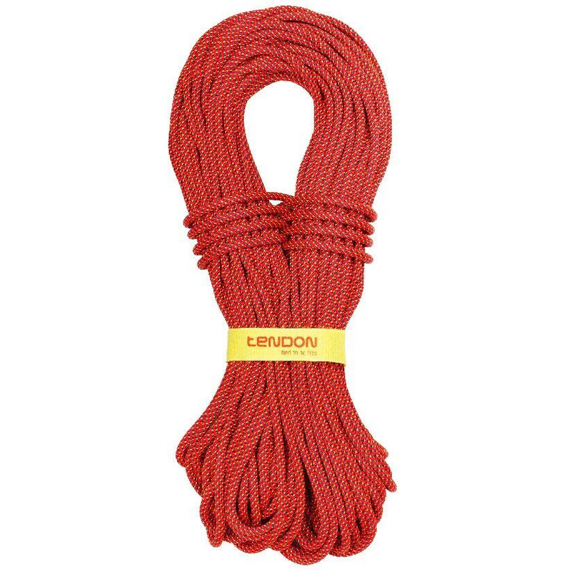 fb01ec30-80e1-4532-a5f2-4317a28c8f3d_c14