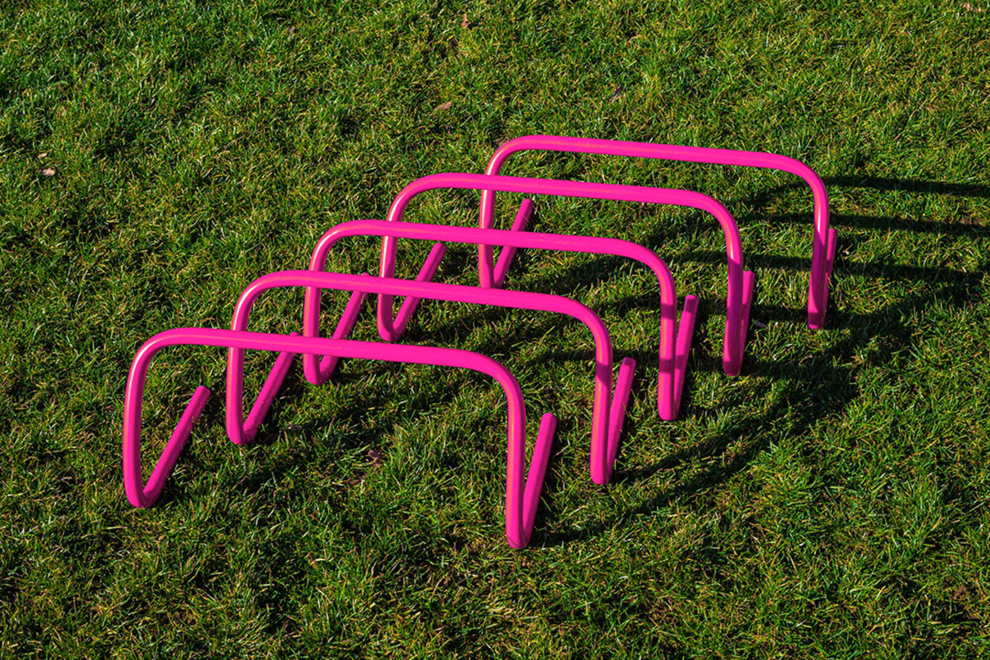 Set di 5 siepi - 23 cm 2/3