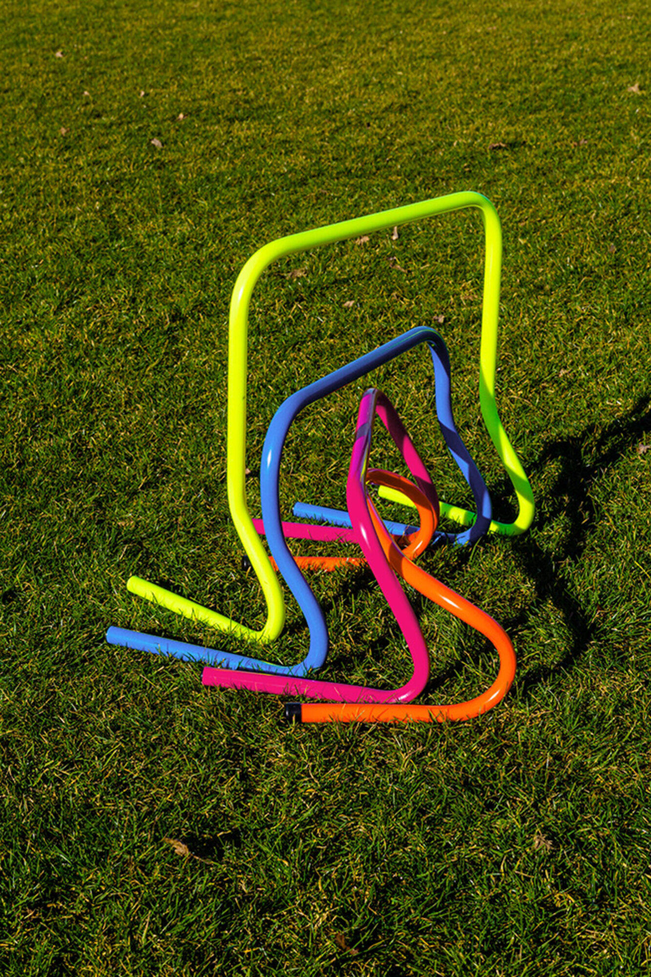 Set di 5 siepi - 30 cm 2/6