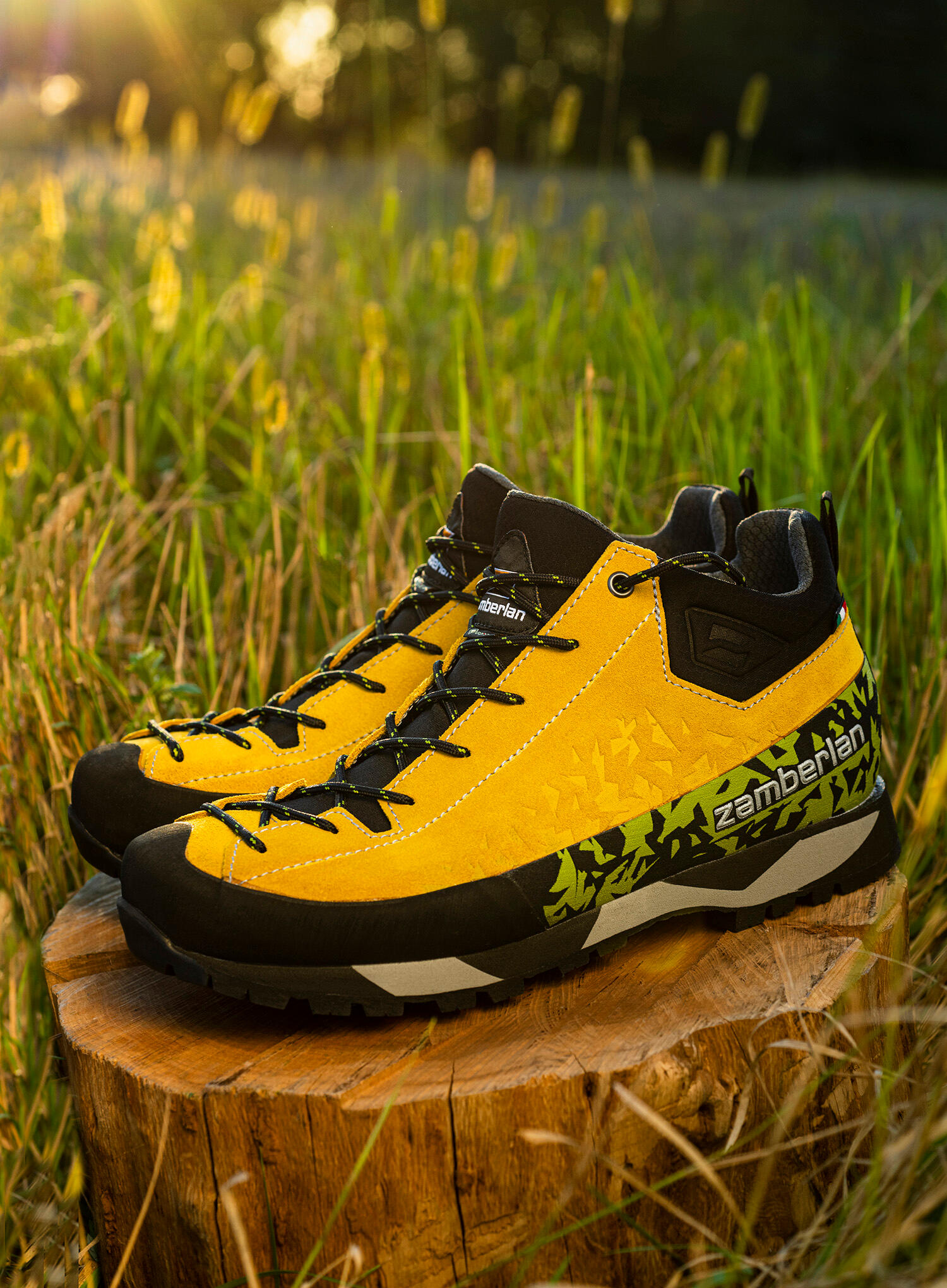 Buty podejściowe Zamberlan Salathe GTX RR 3/7