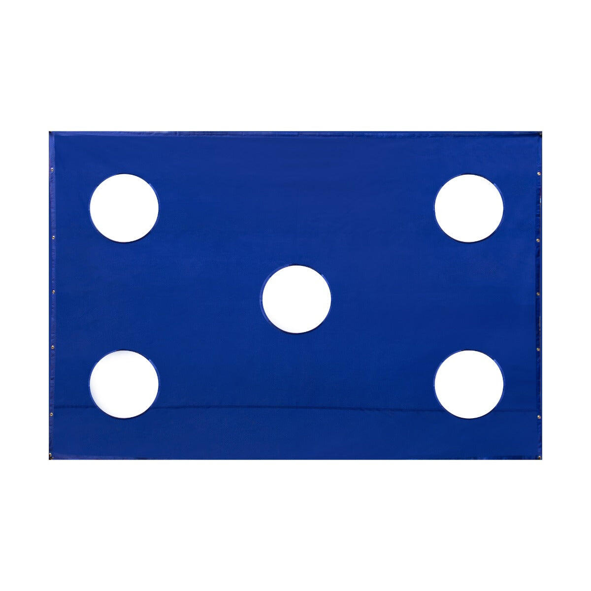 BODY REVOLUTION Golf Cage Target Sheet