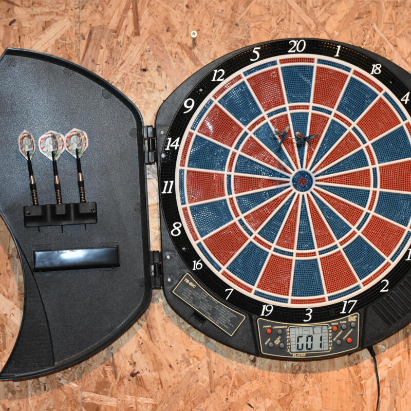 Sunflex Dartscheibe SPIRIT 4/5