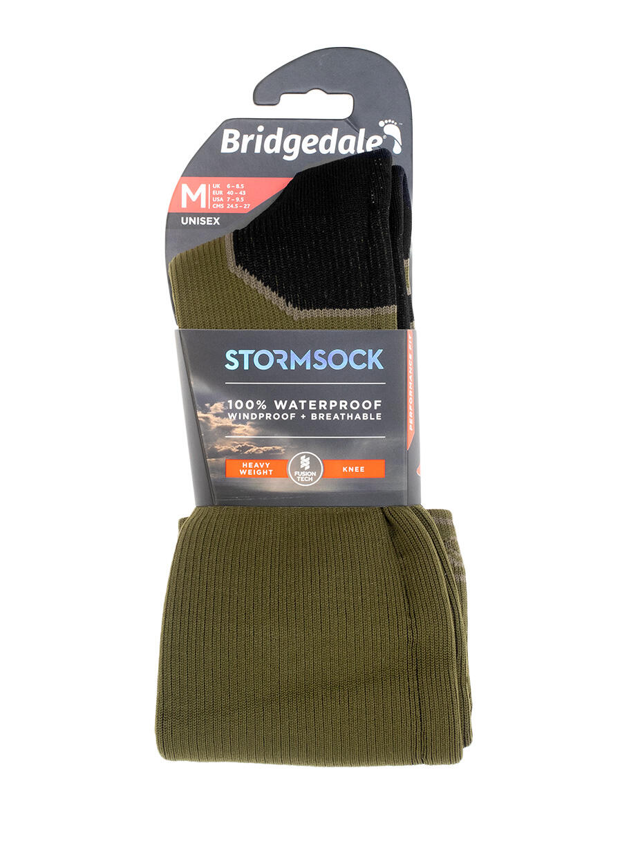 BRIDGEDALE picture