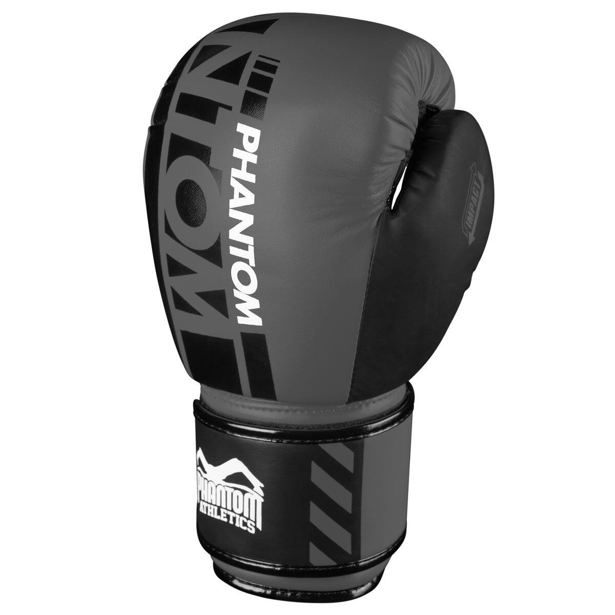 Boxing gloves APEX 2/3