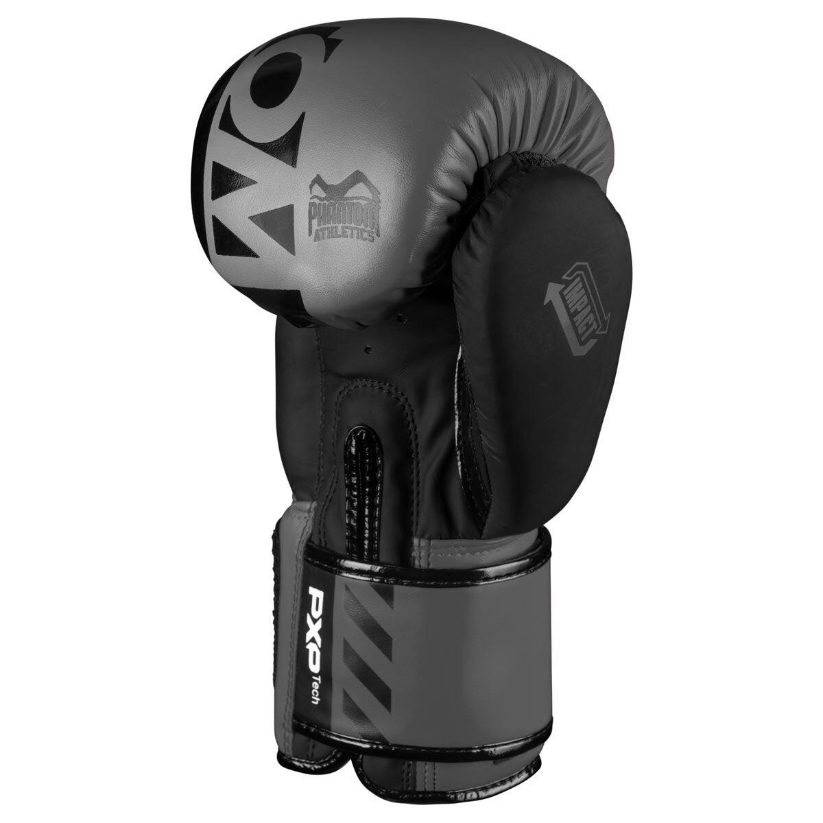 Boxing gloves APEX 3/3