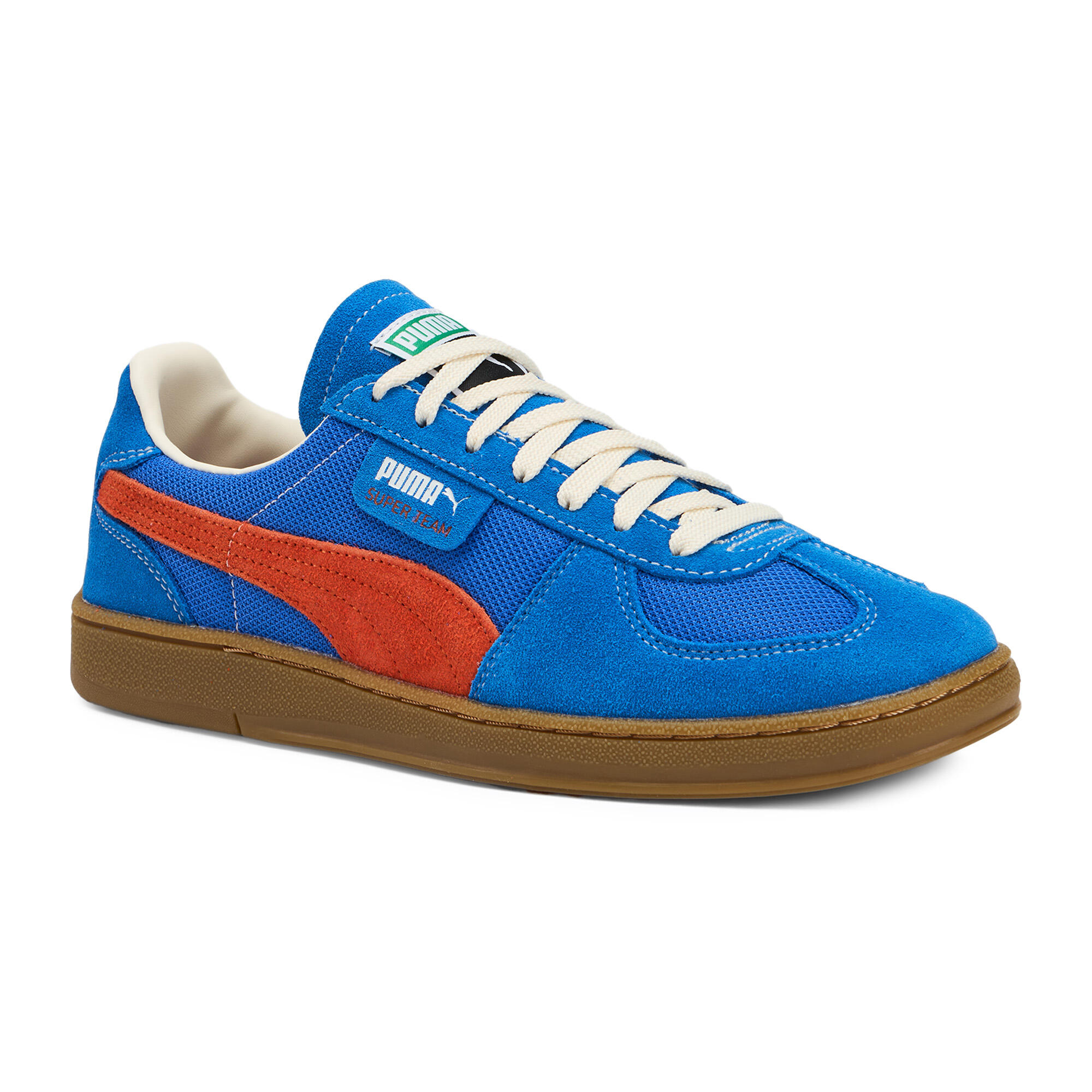 PUMA picture