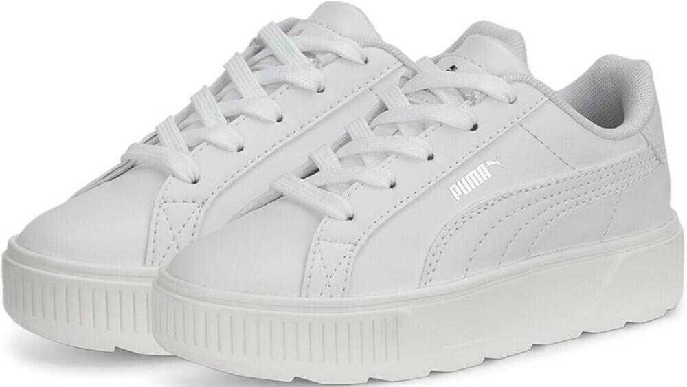 PUMA picture