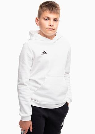 Sweatshirt à capuche enfant adidas Entrada 22
