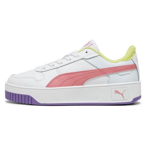 PUMA picture