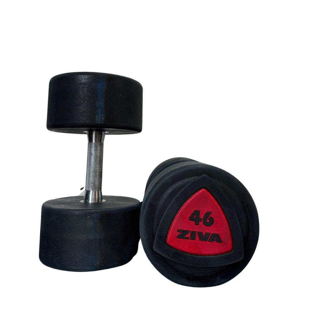 ZIVA Used Ziva ZVO Urethane Dumbbell Pair - Grade D